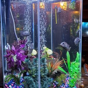 Meet your Posher, Tabitha